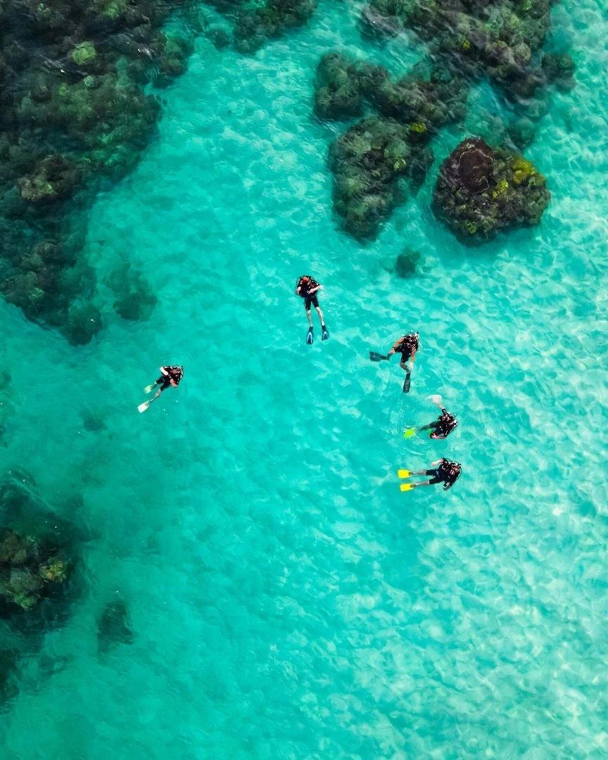 Vue aérienne de plongeurs en résidence de luxe en mer turquoise